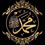 سيرة النبي محمد صلى الله عليه وسلم android application logo